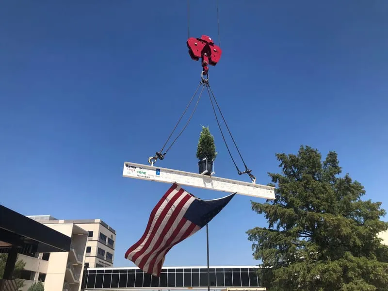 A signed structural beam with a tree and a flag, hoisted by crane at a topping-out.